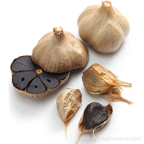 Fermented Black Garlic HALAL Certified Organic Fermented Black Garlic Manufactory